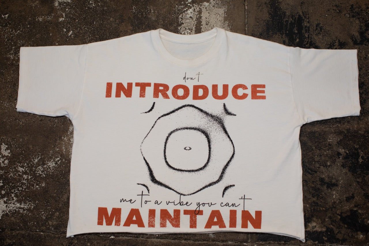 "Don't introduce me to a vibe you can't maintain" Tee